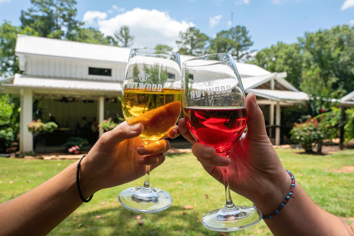 Two glasses of wine clinking outside of Nutwood Winery in LaGrange, Georgia, with lush greenery in the background.