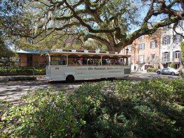 Old Savannah Tours