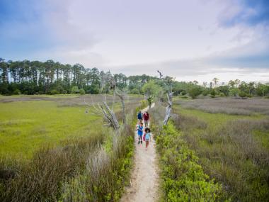 Skidaway Island State Park Trails wind through maritime forest on Skidaway Island