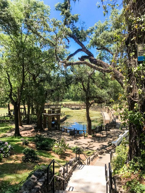 A scenic view of Radium Springs in Albany, Georgia