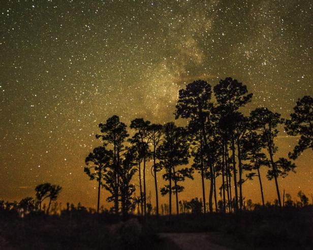 Stephen C. Foster State Park