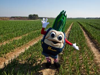 Yumion welcomes visitors