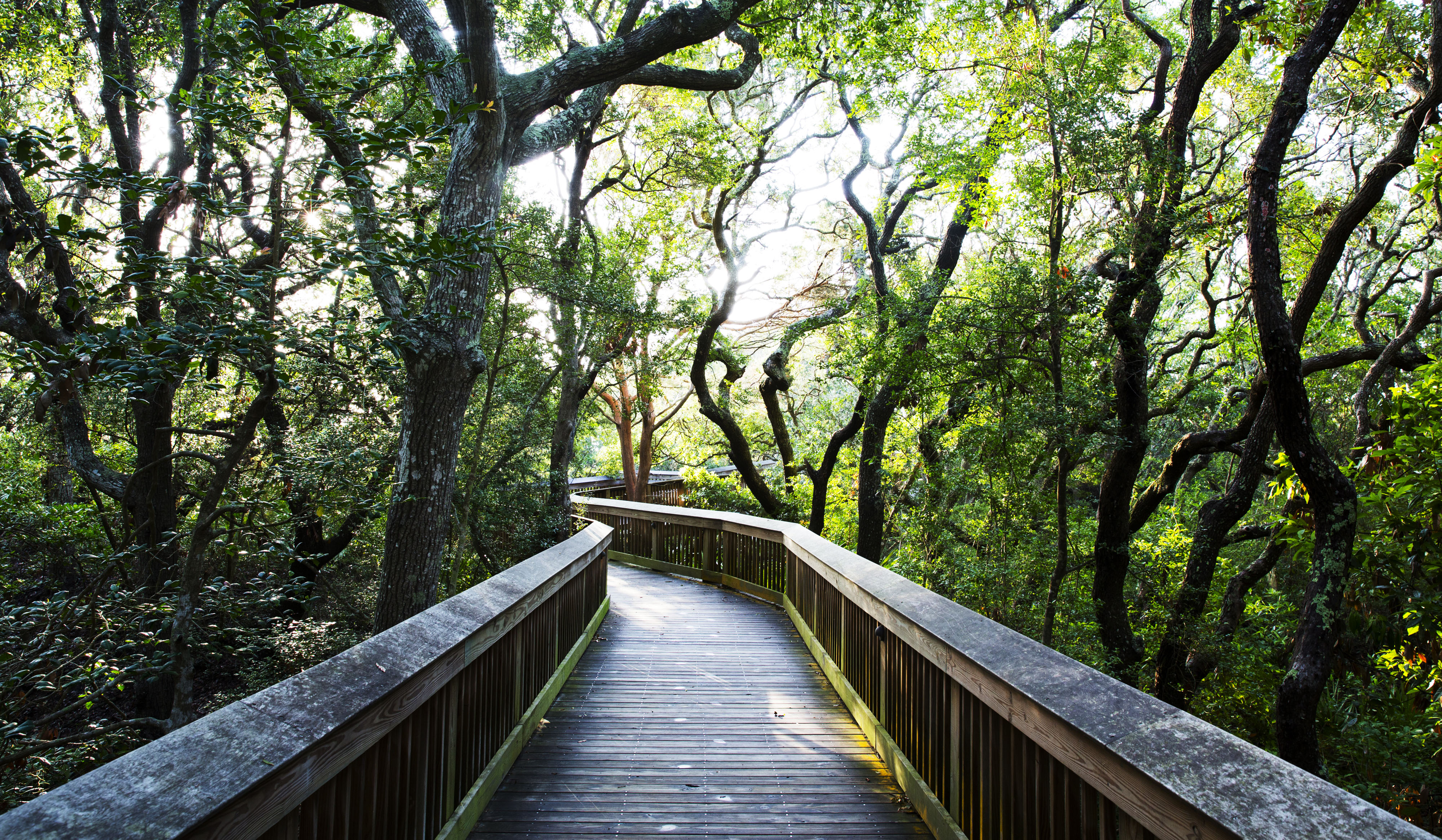Jekyll Island