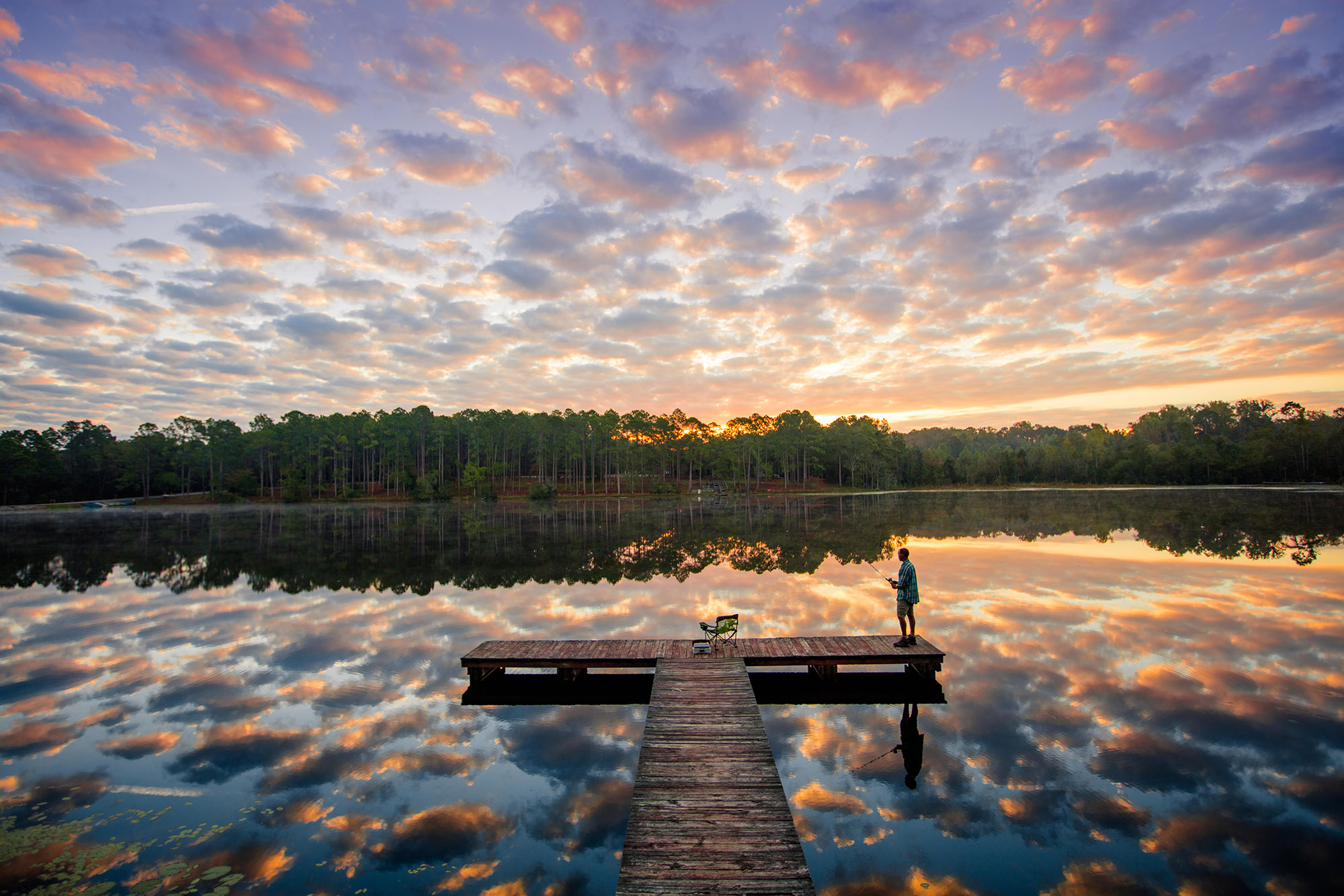 Gordonia-Alatamaha State Park