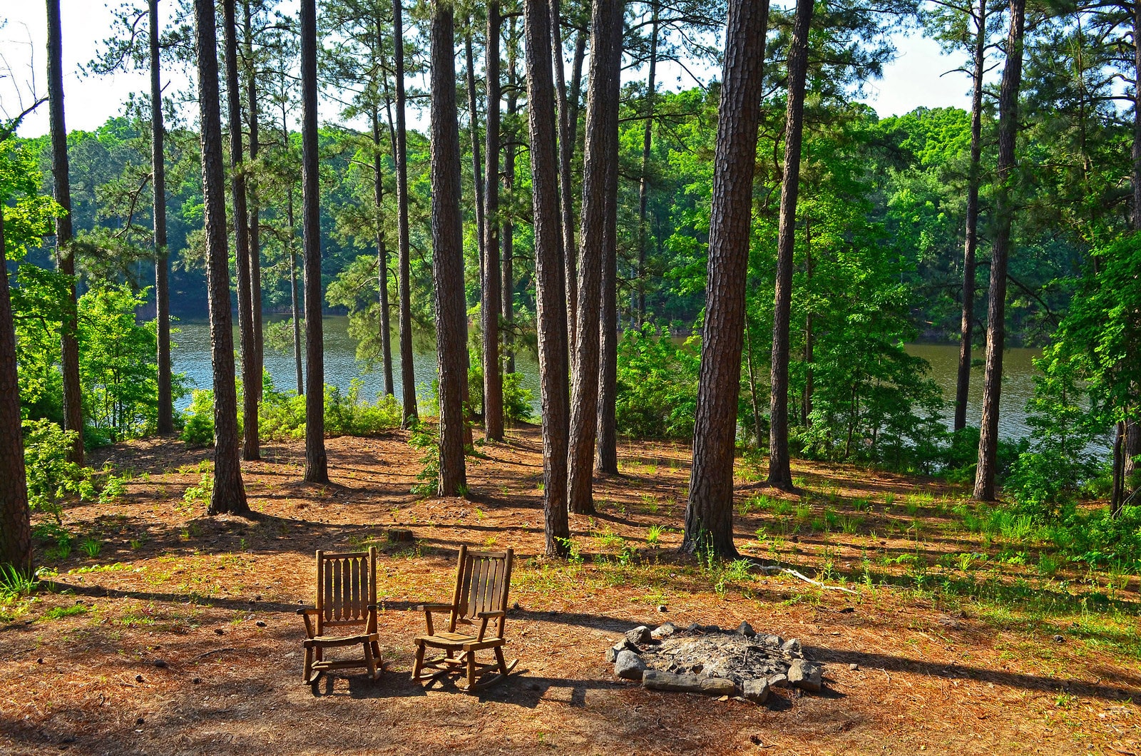 Mistletoe State Park