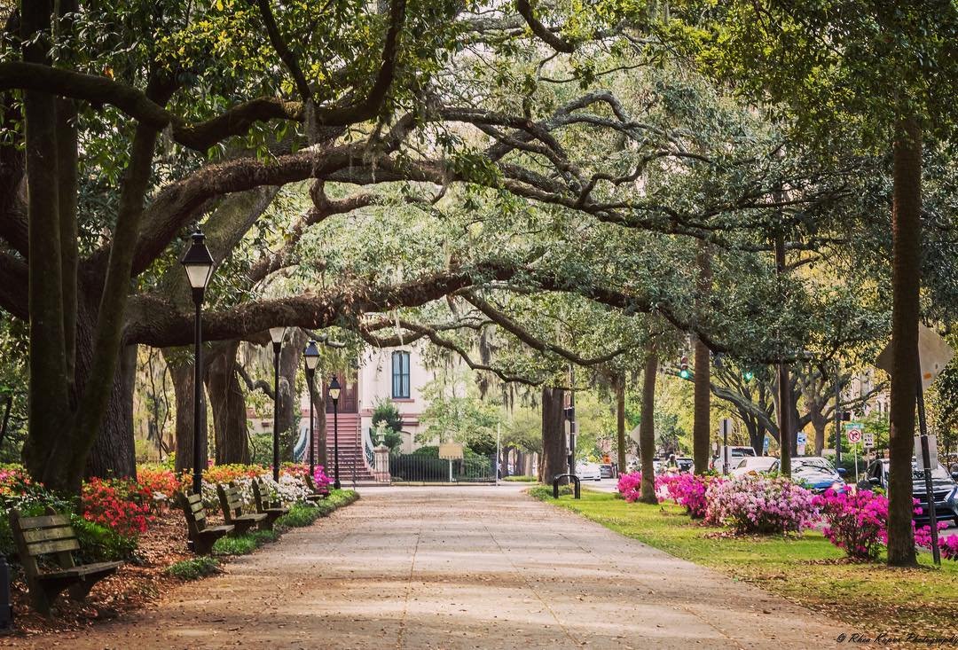 Savannah Georgia