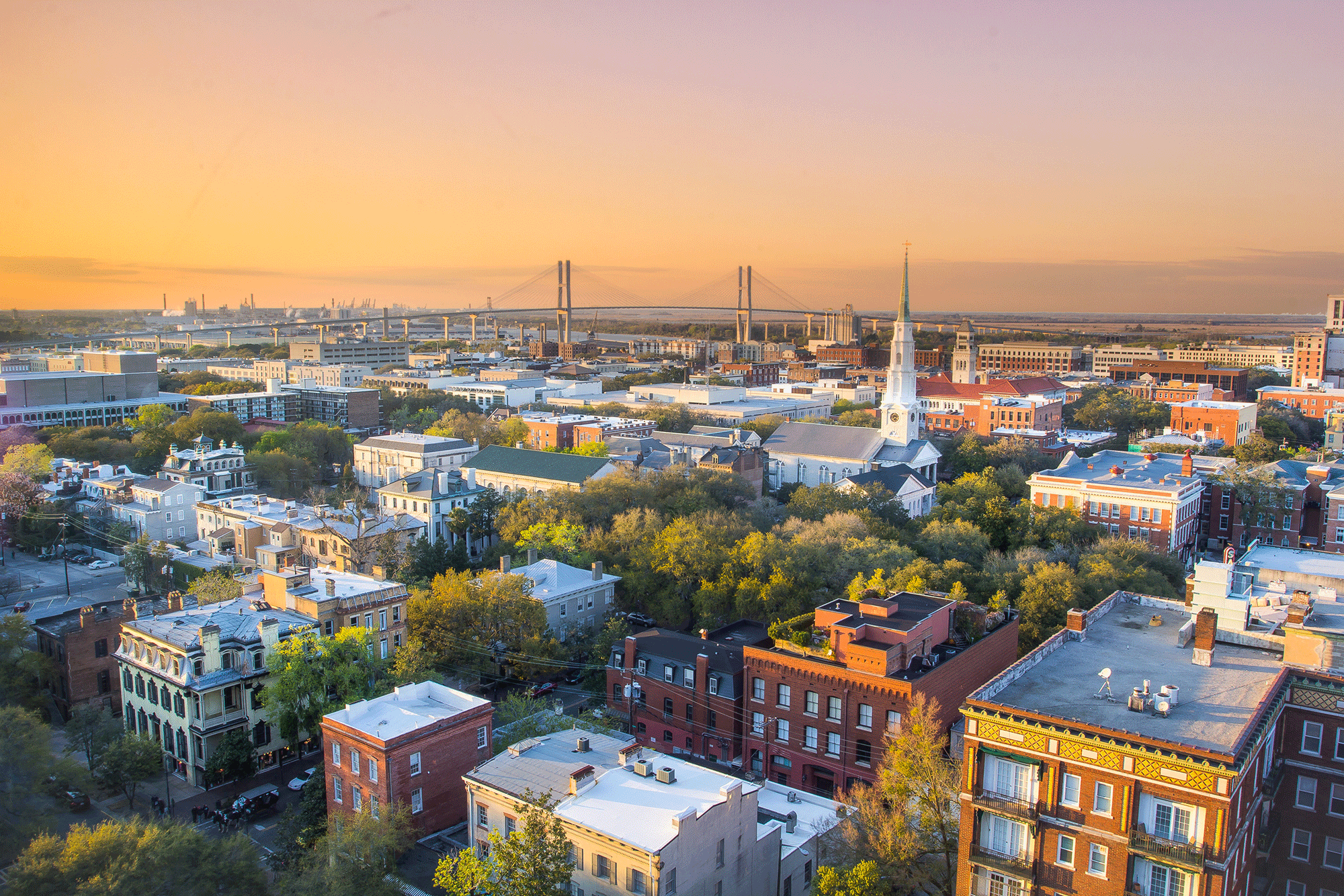 Savannah at sunset