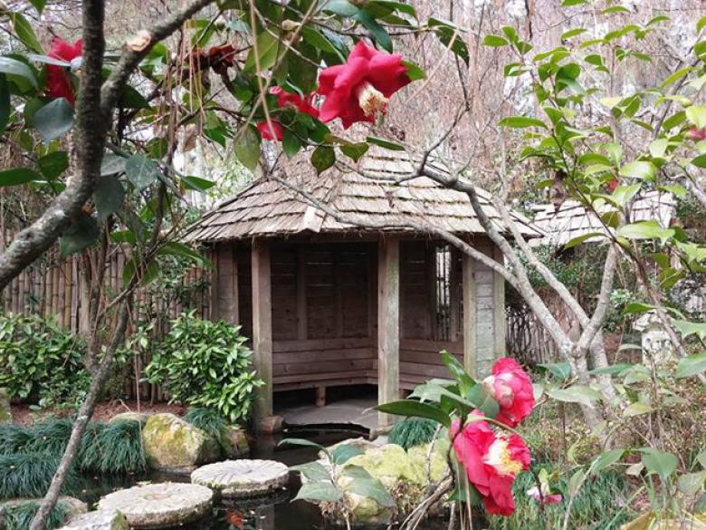 Fort Valley Things to Do Official Tourism & Travel site