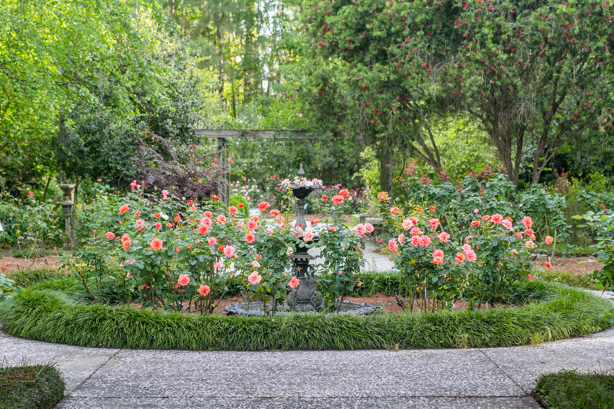 Botanical Gardens to Visit This Spring Explore