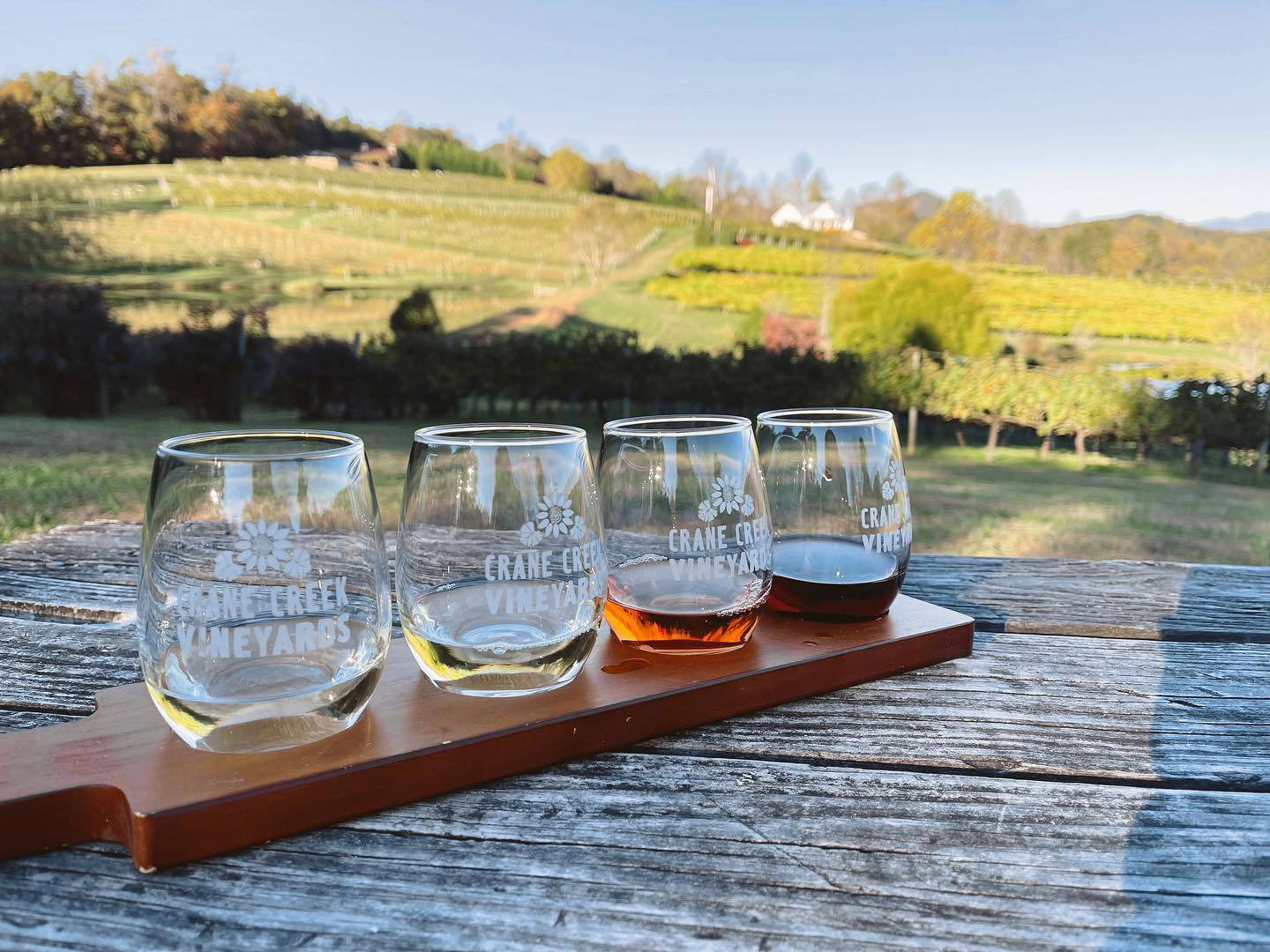 5 Things to Do in Young Harris Explore