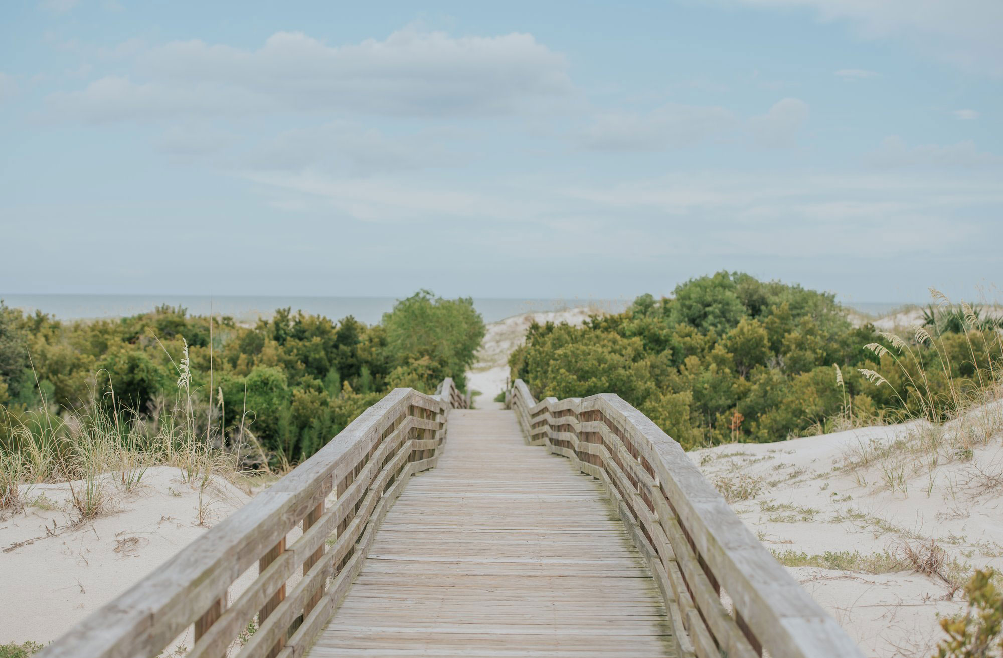 Boardwalk to the beach on Cumberland Island, Georgia