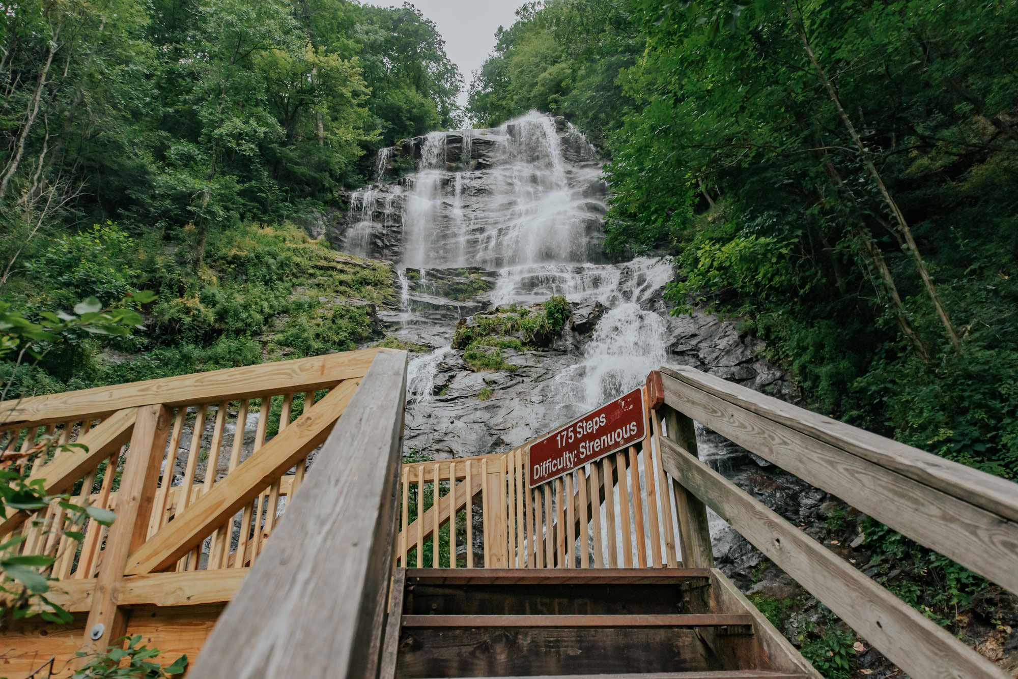 Best Fall Fun in Dahlonega and Dawsonville, Explore