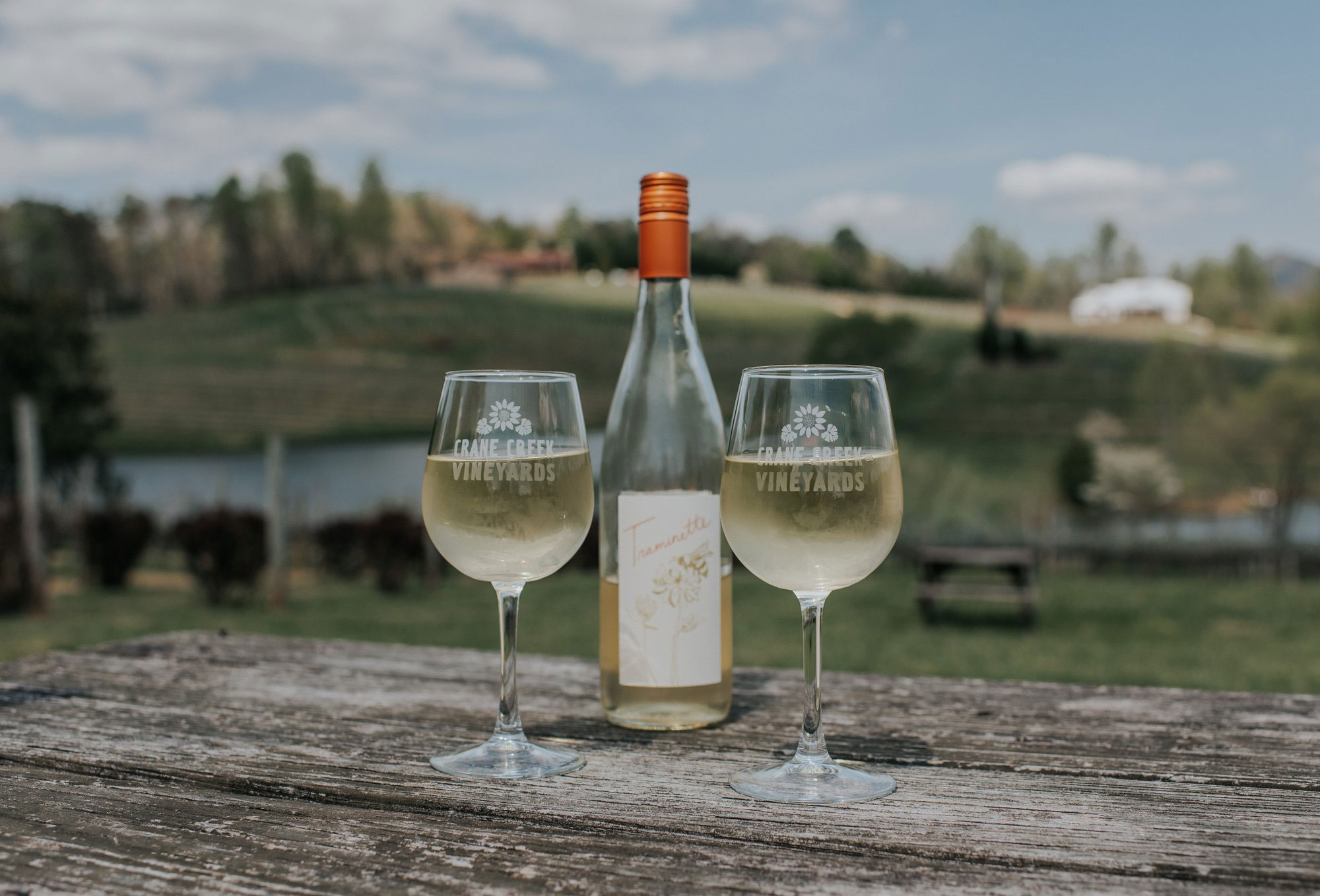 5 Things to Do in Young Harris Explore