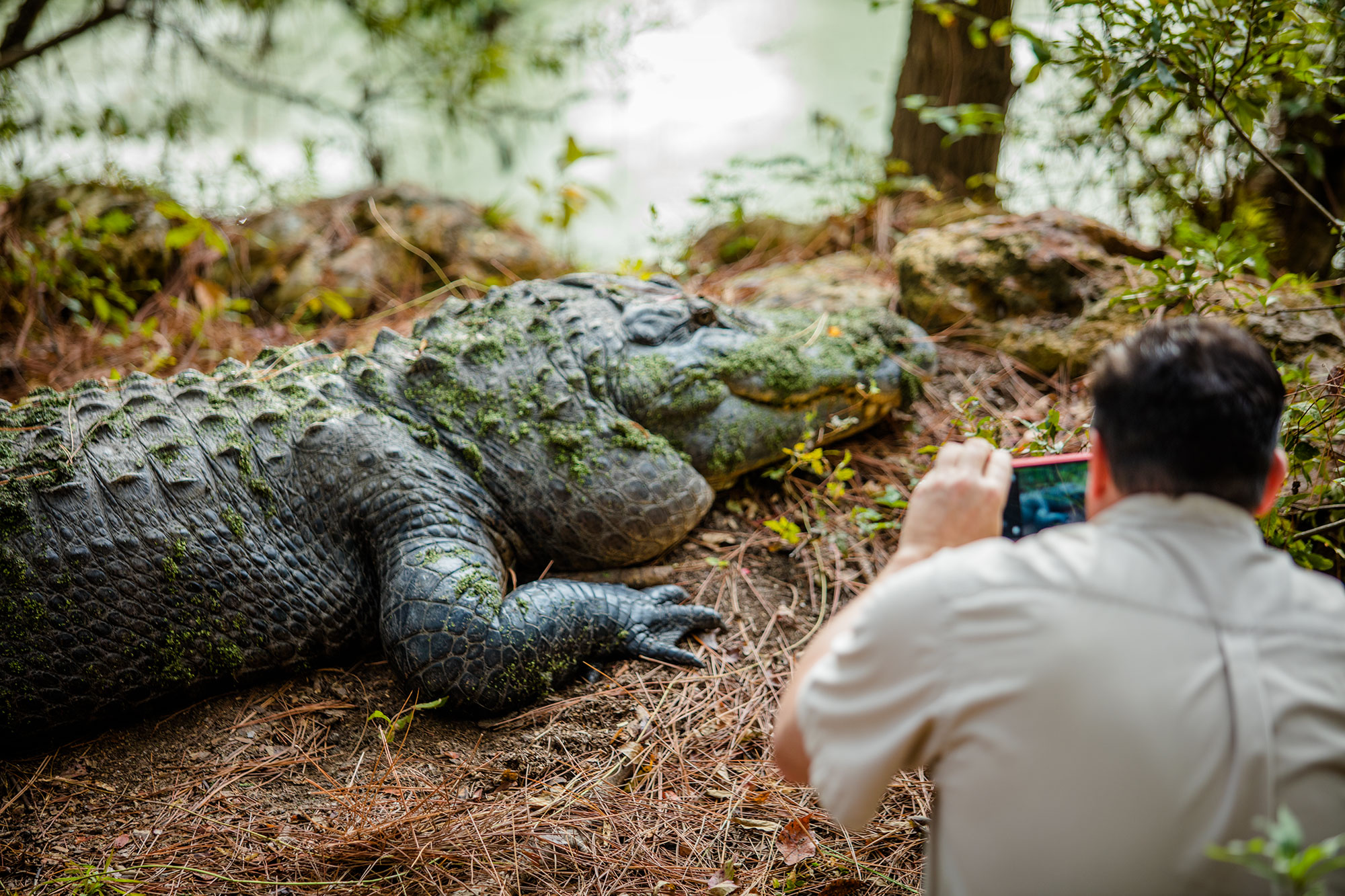 georgia wildlife tours