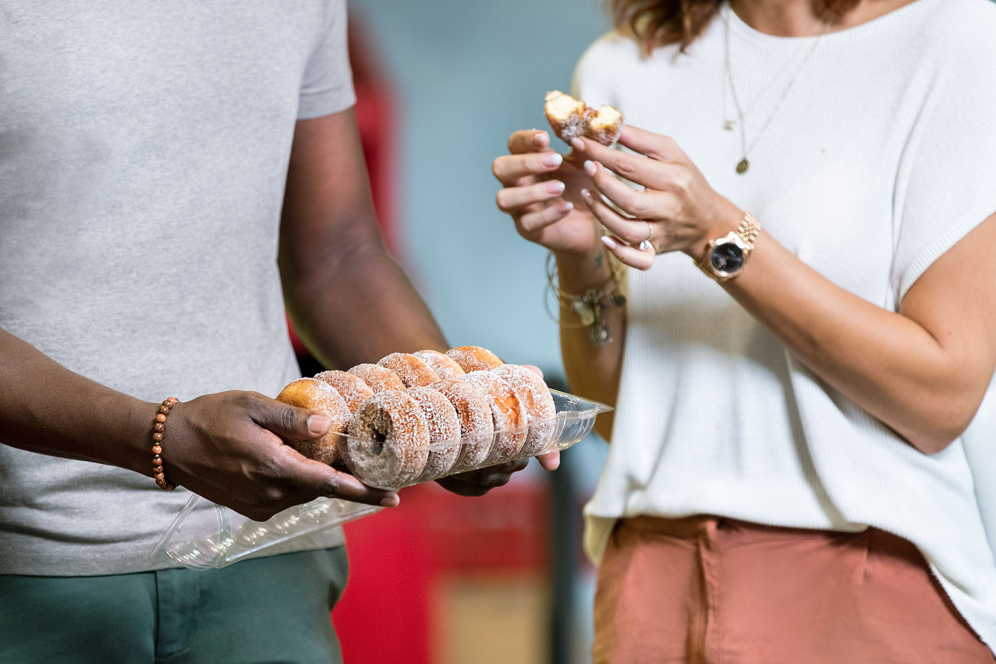 Guide to the Apple Festival in Ellijay Explore