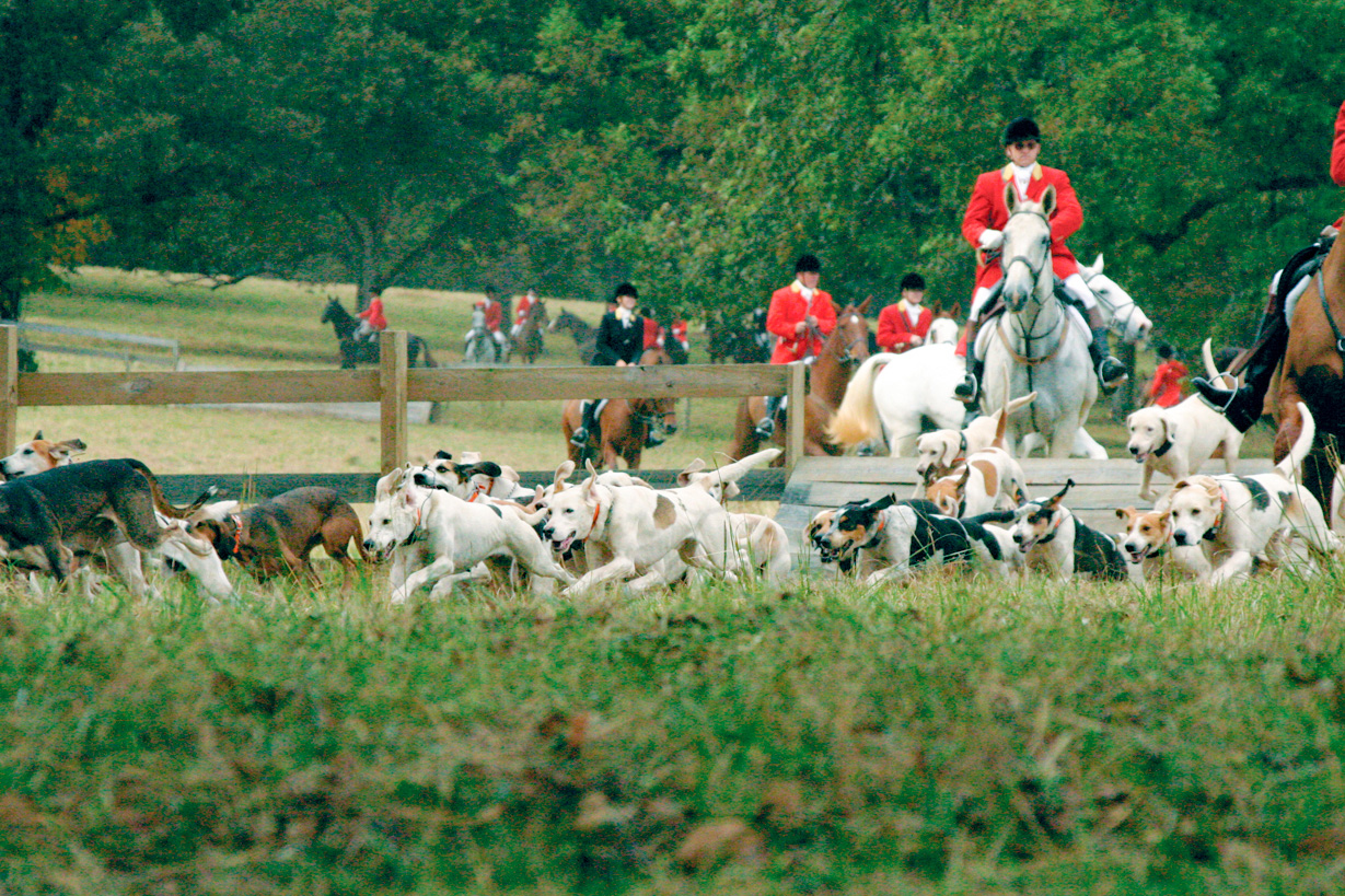 Belle Meade Hunt in Thomson, Georgia