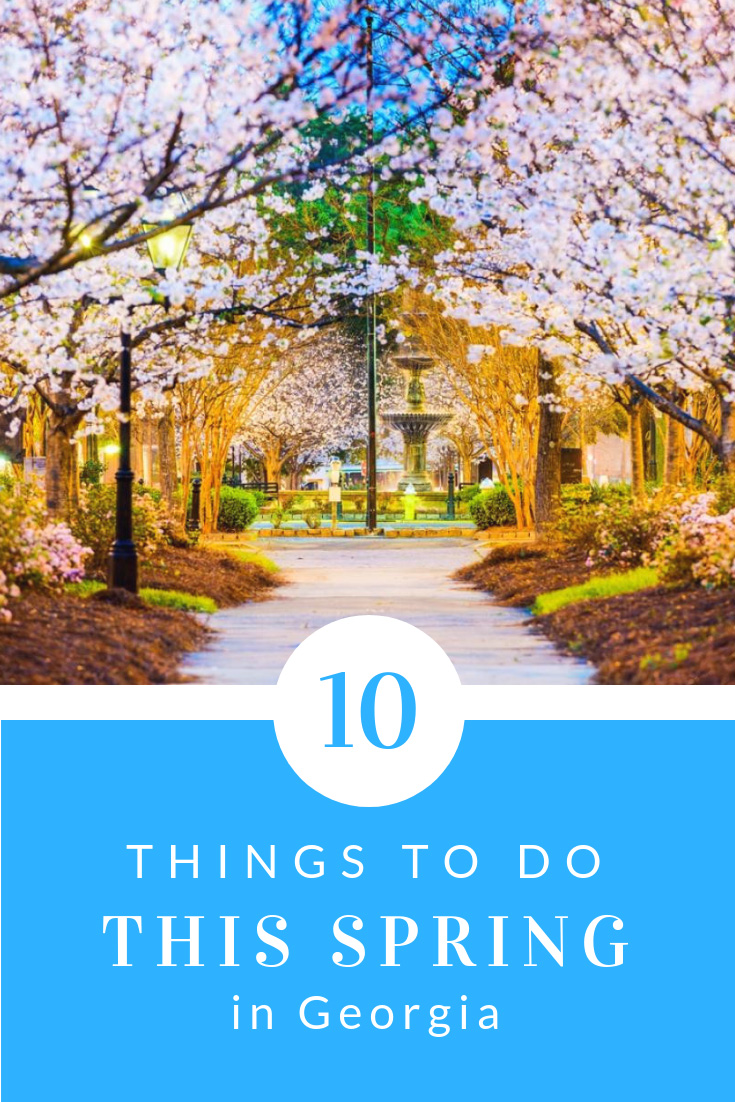 10 Things to Do this Spring in Georgia