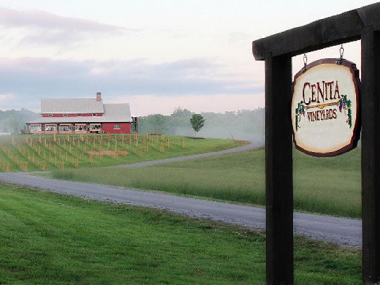 CeNita Vineyards and Winery & Tasting rooms