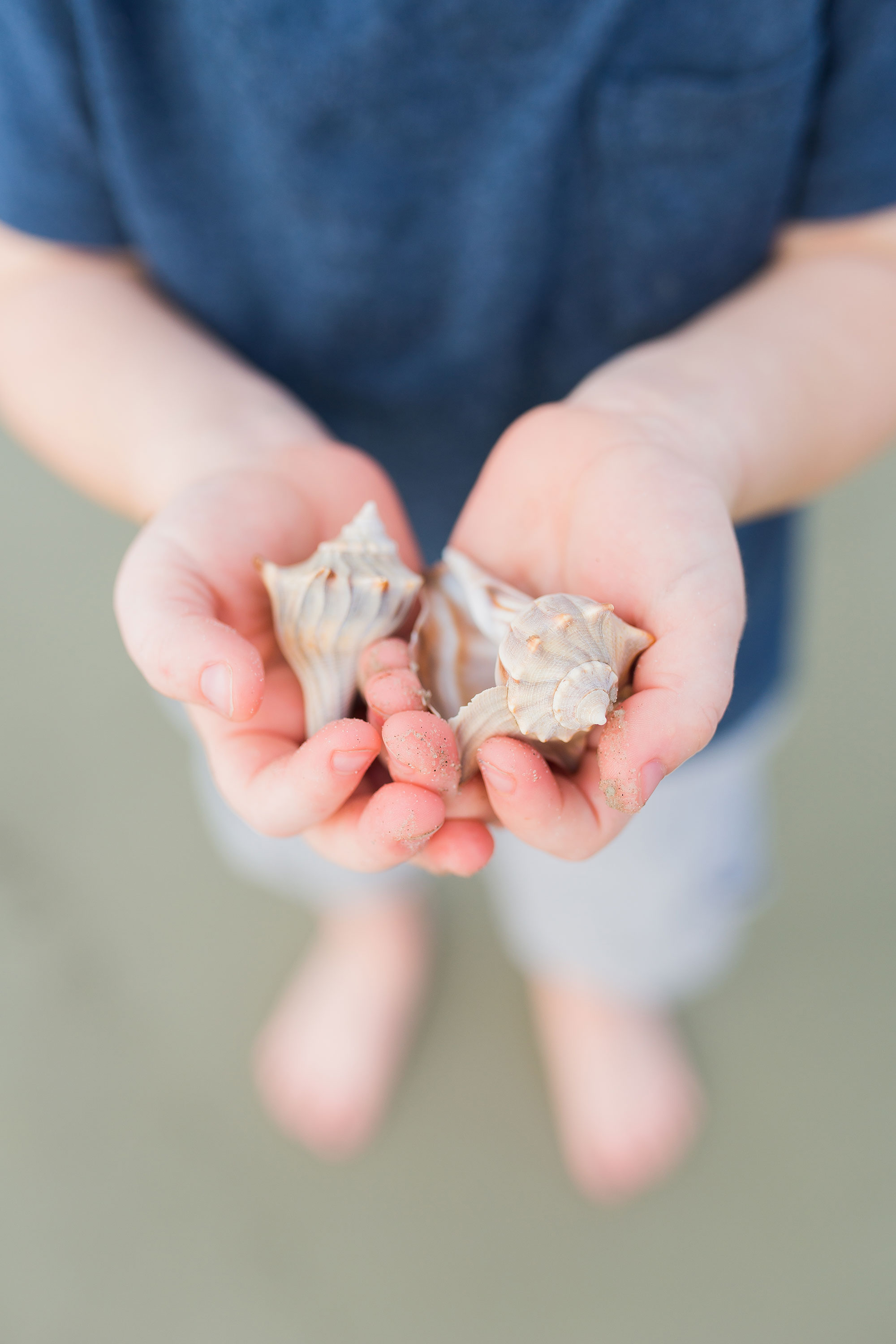 Choose Your Own Adventure Official Tourism & Travel