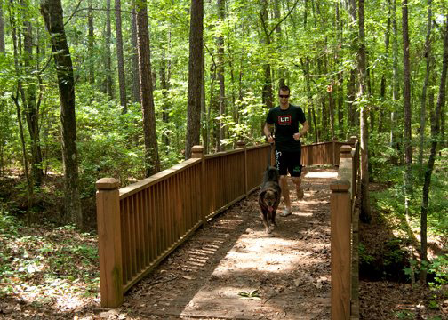 Rock Hawk Effigy and Trails in Eatonton
