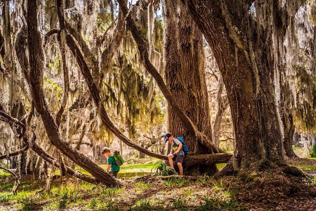 Fort Frederica National Monument on St. Simons Island. Photo by Jessica, @3.little.trees