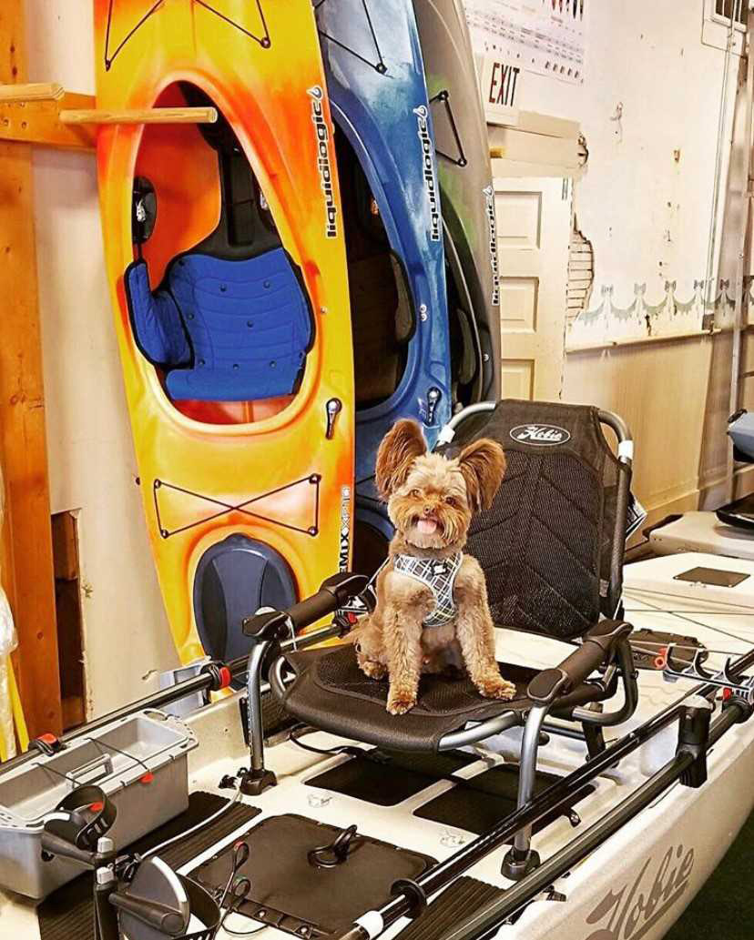Go With the Flow in Roswell. Photo by @chocothepomapoo