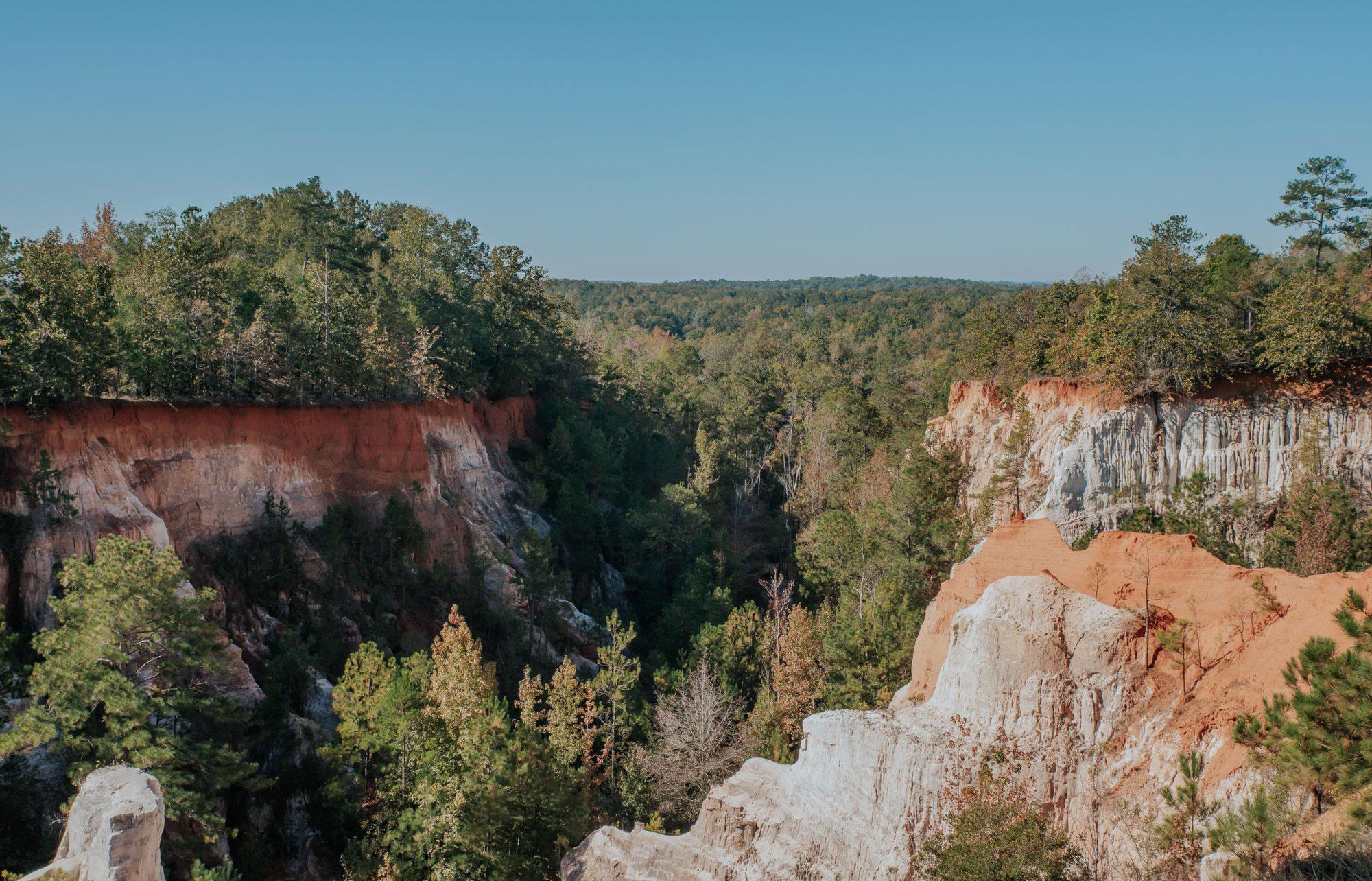 Providence Canyon in Lumpkin, Georgia. Photo by @gcalebjones