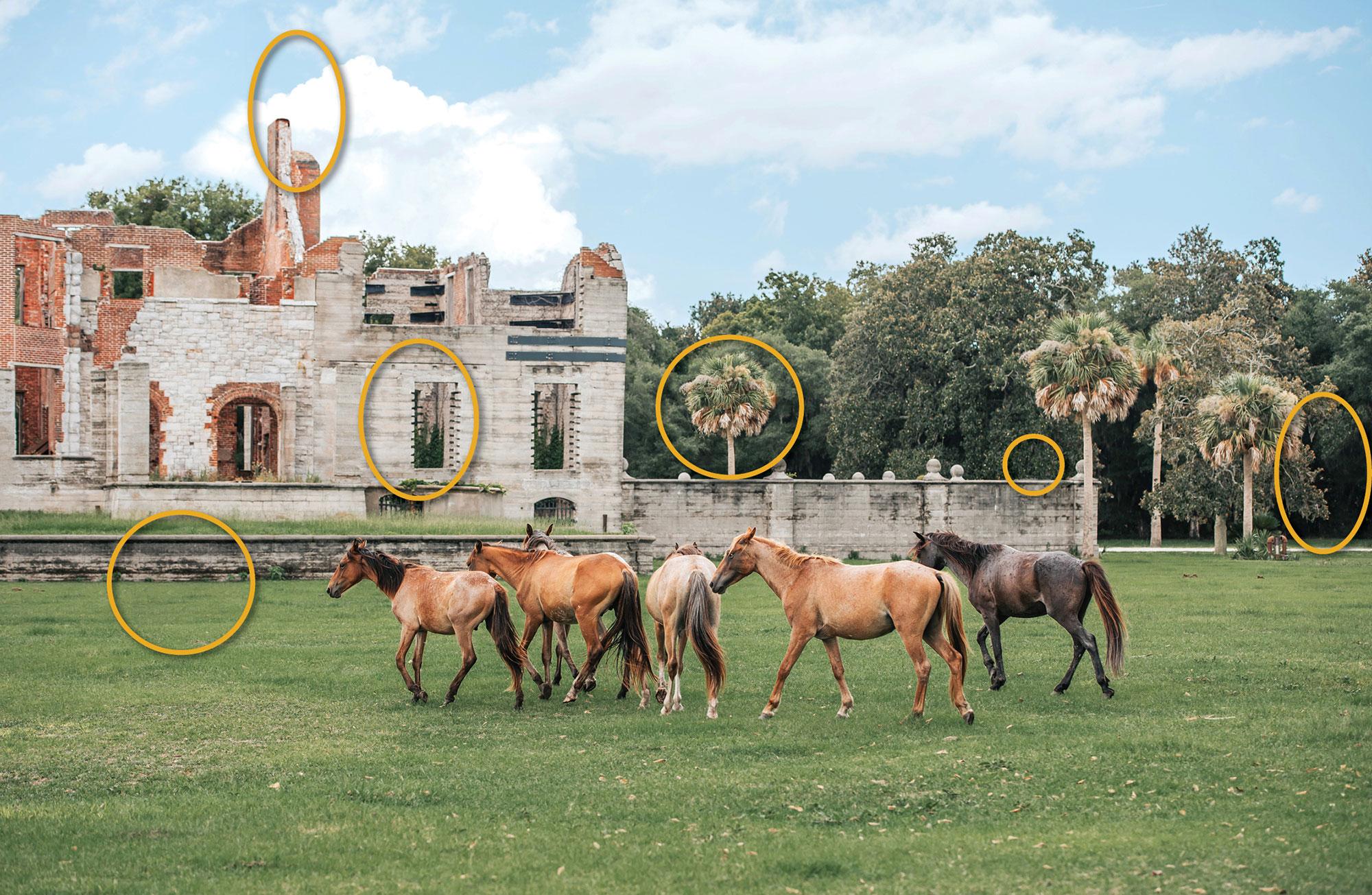 Cumberland spot the difference key