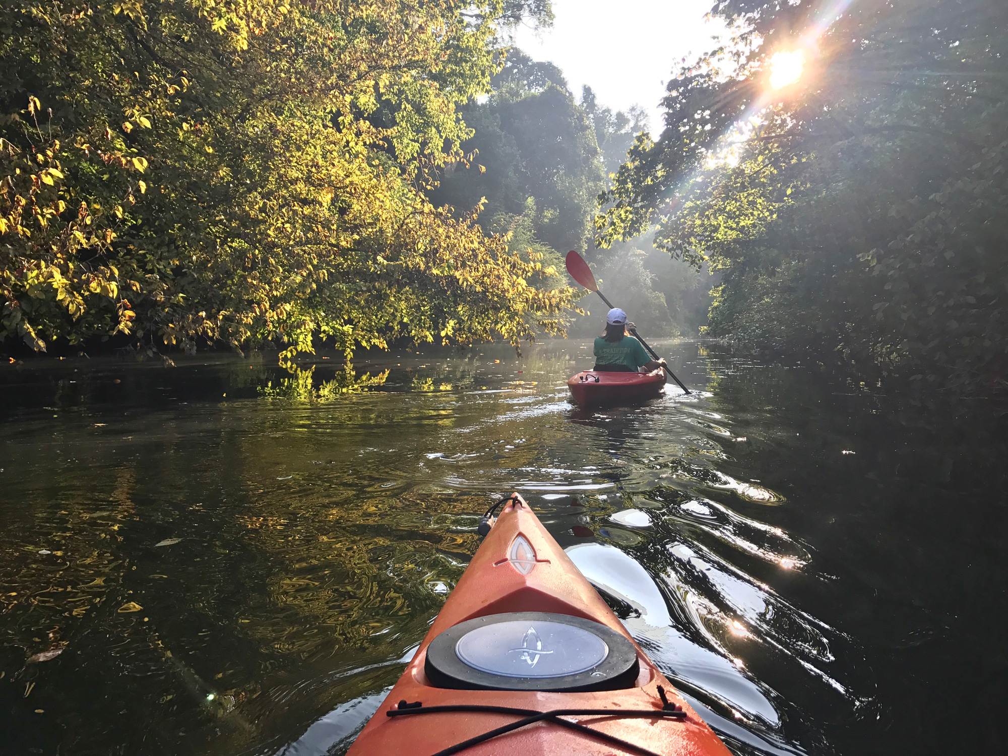Kayaking on the Augusta Canal. Photo by @twsnyder12