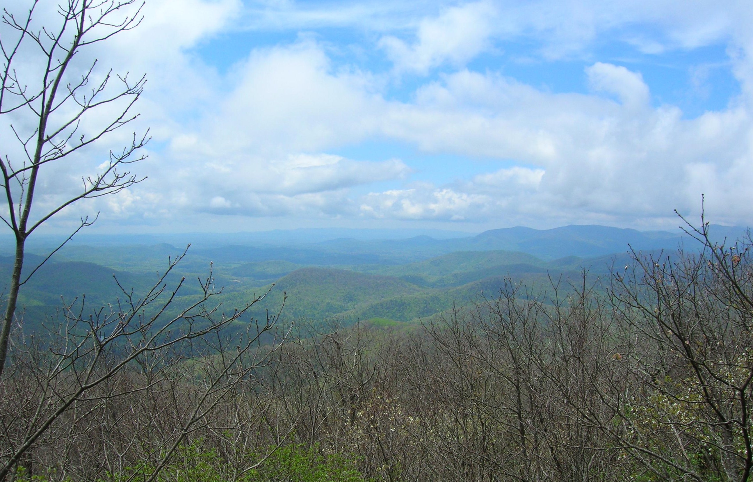 Springer Mountain