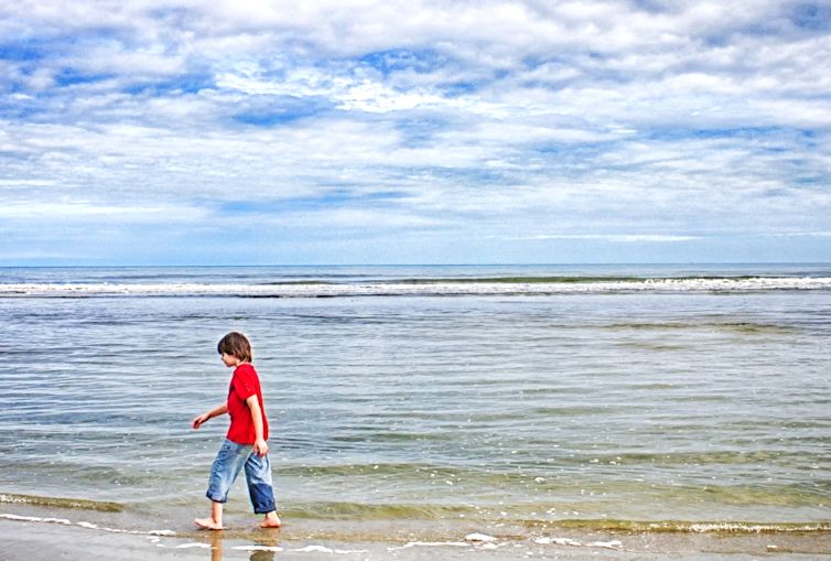 Cumberland Island National Seashore. Photo by Candy Cook