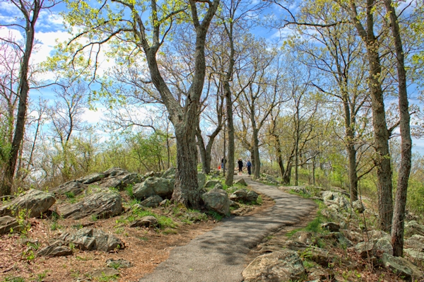 Trail to the top of Kennesaw Mountain