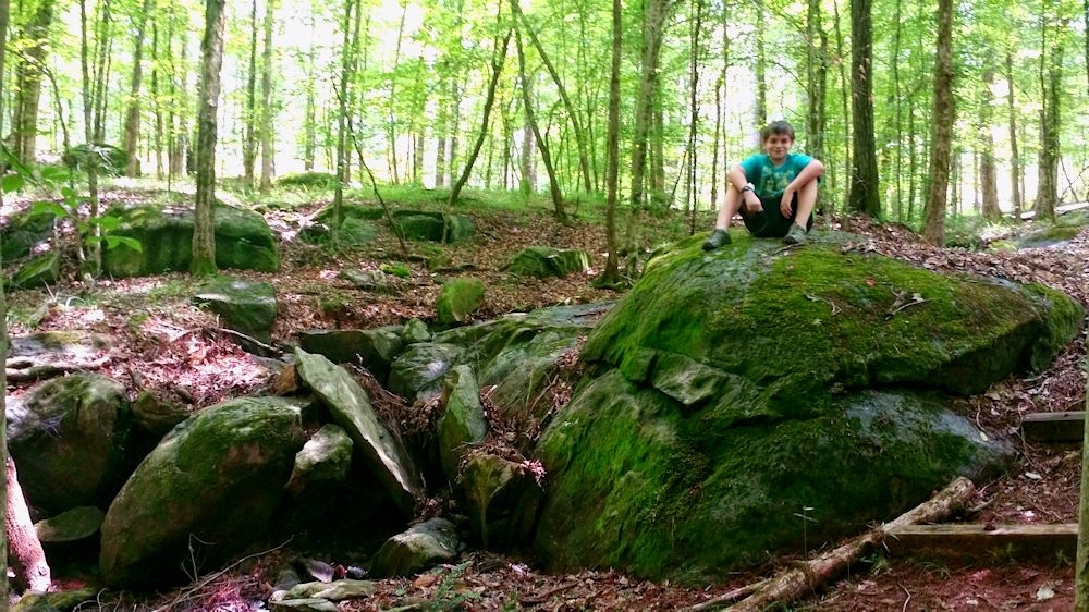 Piedmont National Wildlife Refuge