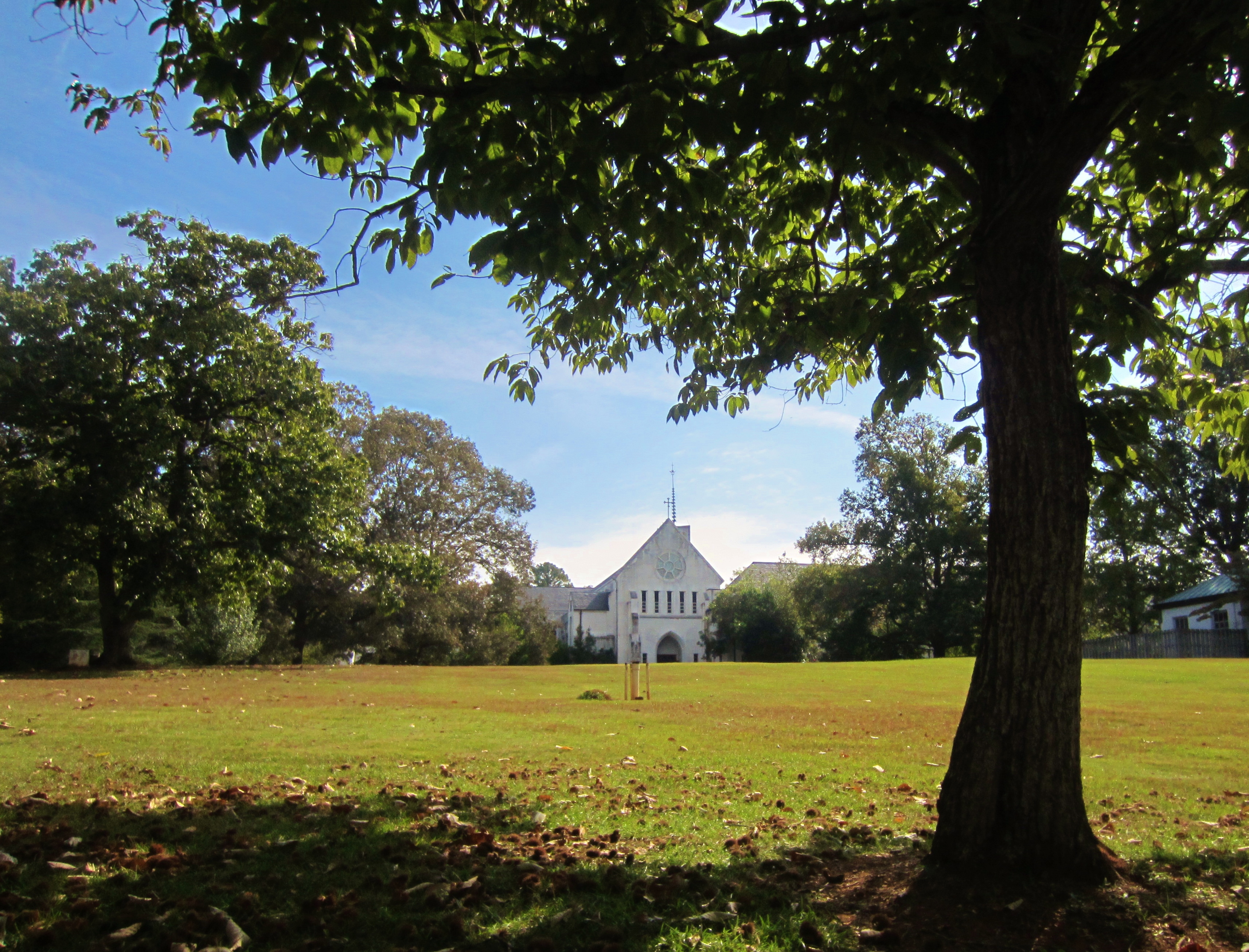 Chestnut Grove at the Monetary of the Holy Sprit