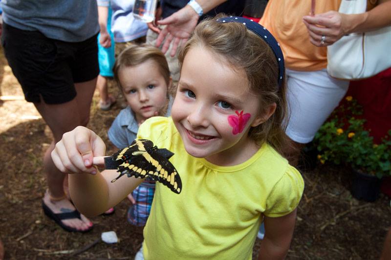 Most Amazing Places to See Butterflies Official