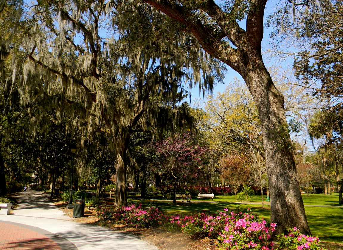 10 Prime Picnic Spots in Explore