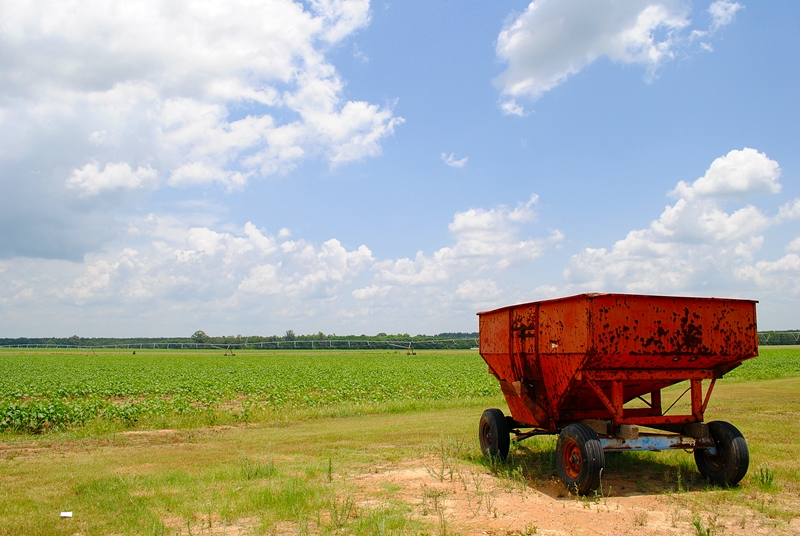 Hardy Farms Peanut Wagon