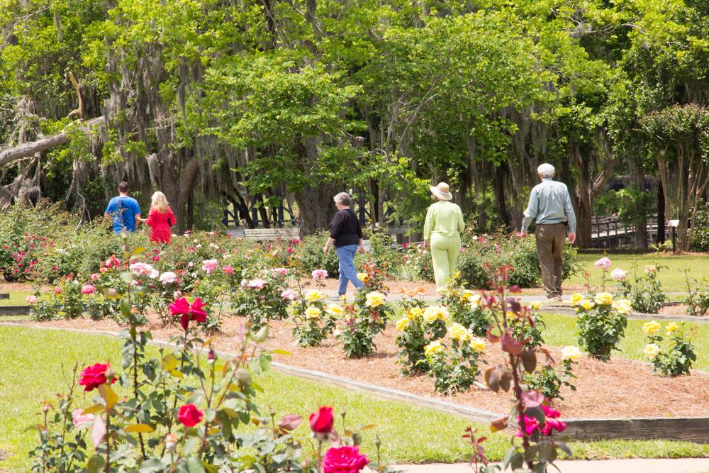 Thomasville Rose Garden