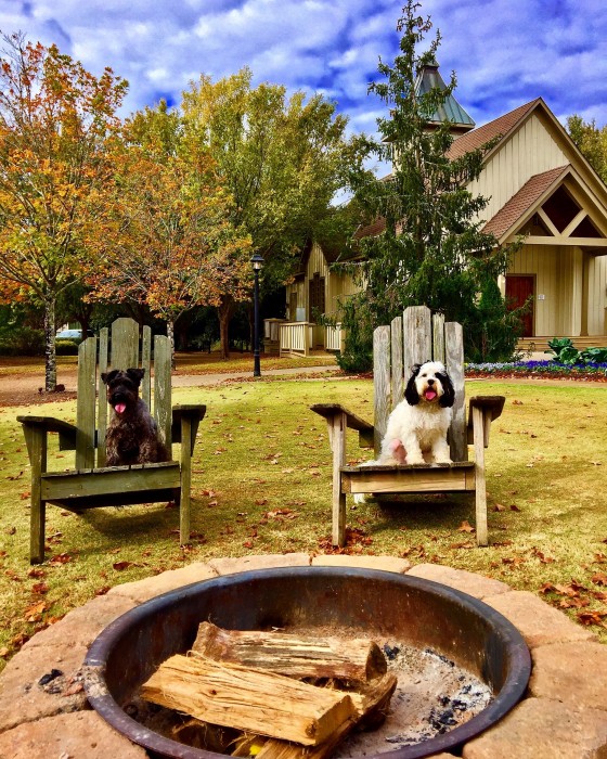 Pet-friendly Barnsley Resort in Adairsville, Georgia