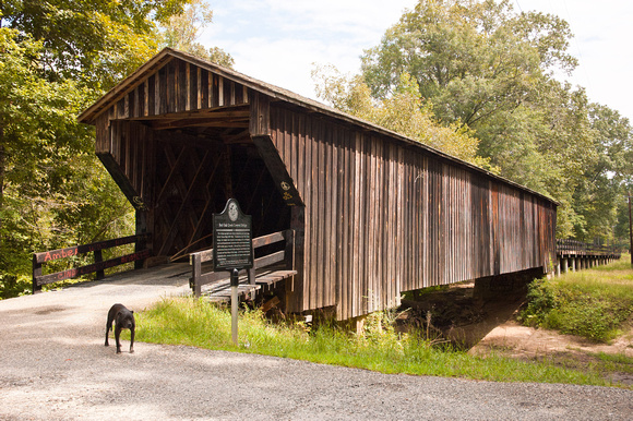Big Red Oak Creek. Photo by Lynn Hall Photography.