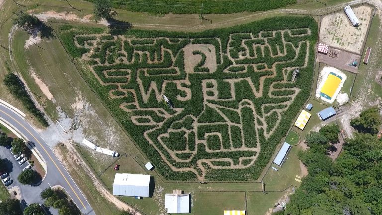 2017 Buford Corn Maze