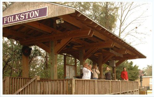 Folkston Official Tourism & Travel Website Explore