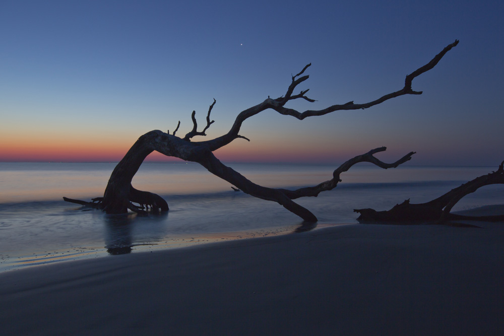 Driftwood Beach on Jekyll Island. GDEcD Photography