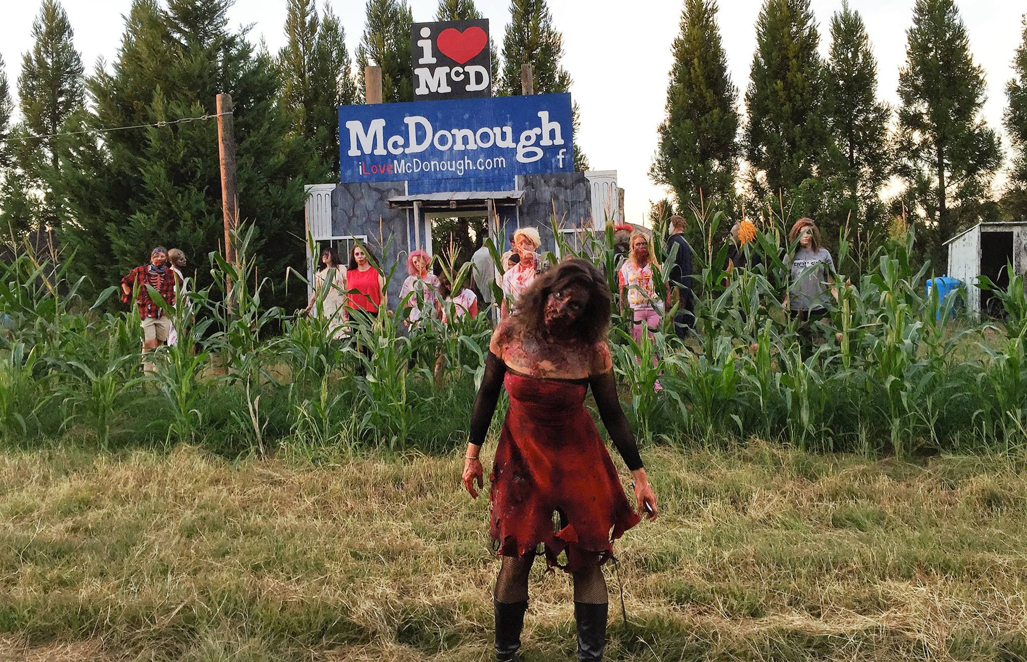 Brave the cornfield crawling with zombies at Fear the Woods in Stockbridge