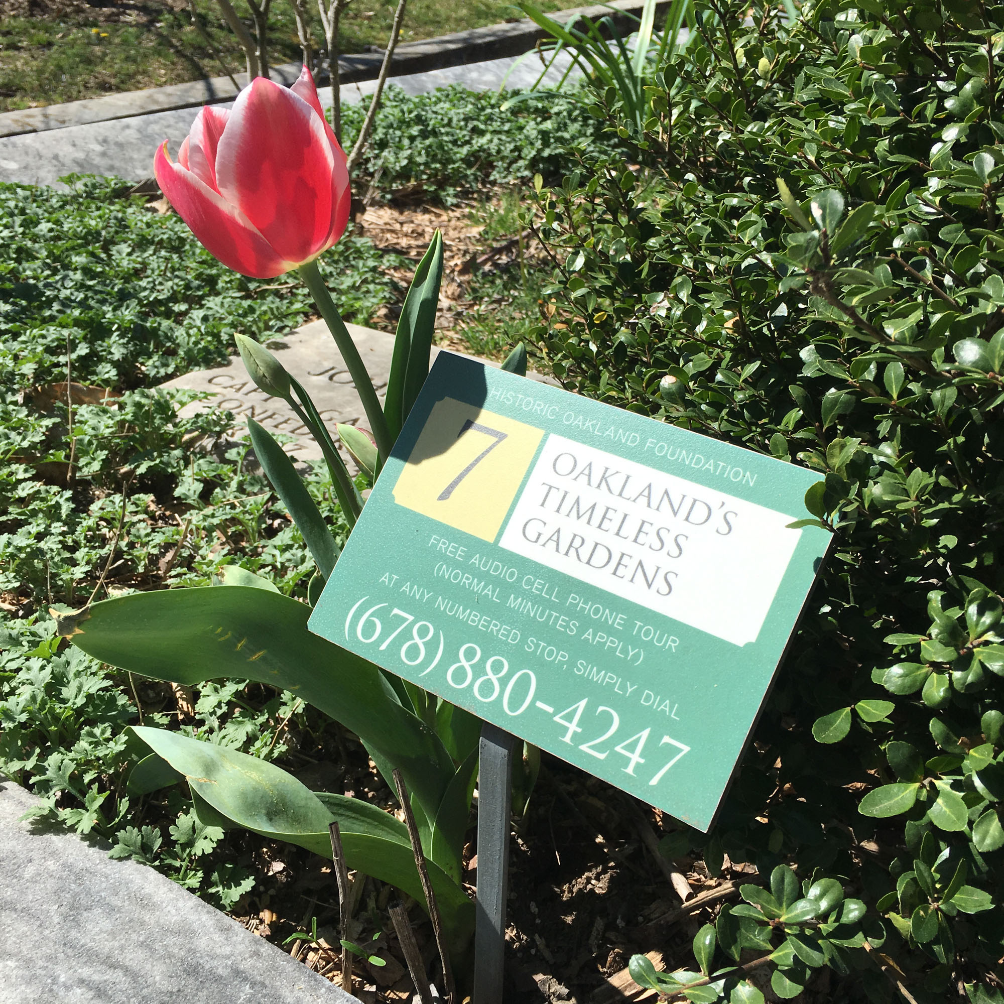 Dial in for Oakland's Timeless Gardens cell phone tour