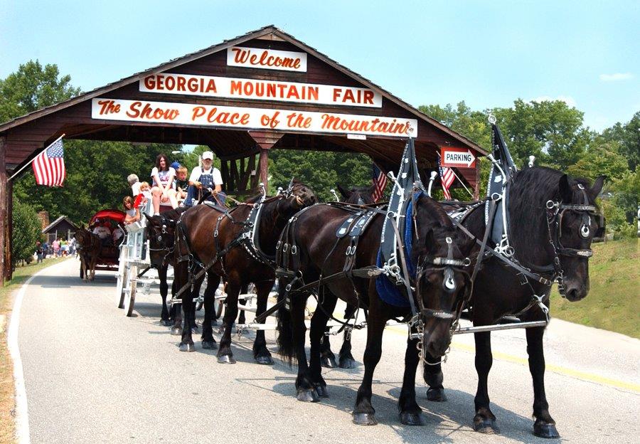 Horses at the gate of the Georgia Mountain Fair in Hiawassee