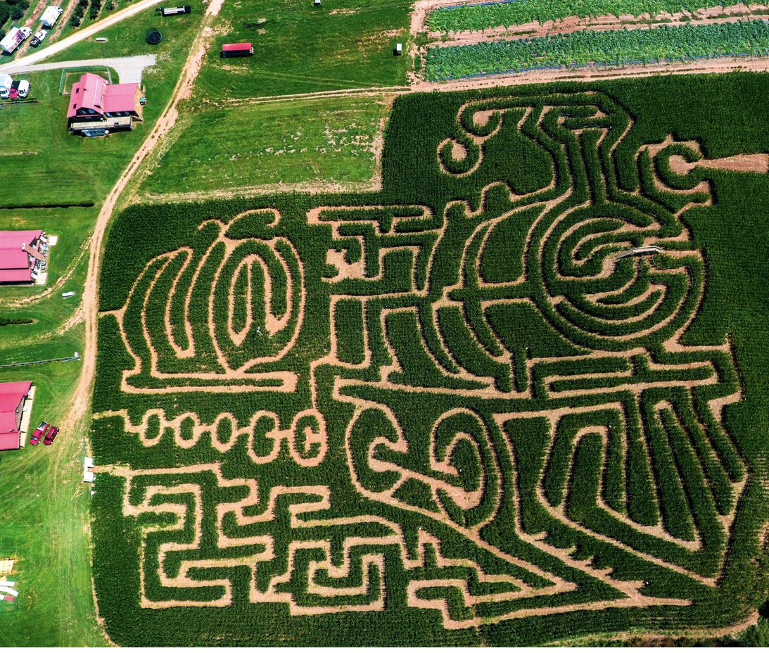 2017 corn maze at Jaemor Farms in Alto, Georgia