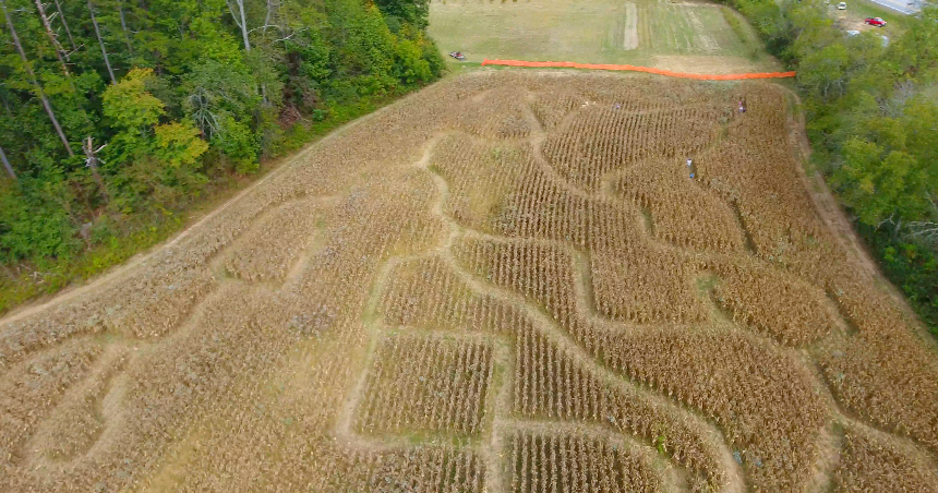 JDR Corn Maze in Blairsville, Georgia