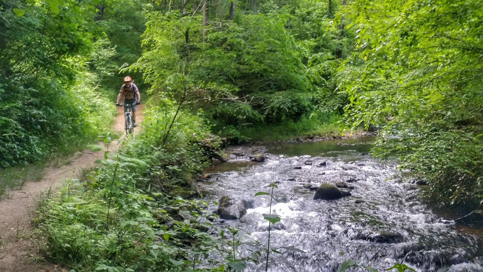 Mountain biking at Unicoi State Park. Photo by Candy Cook