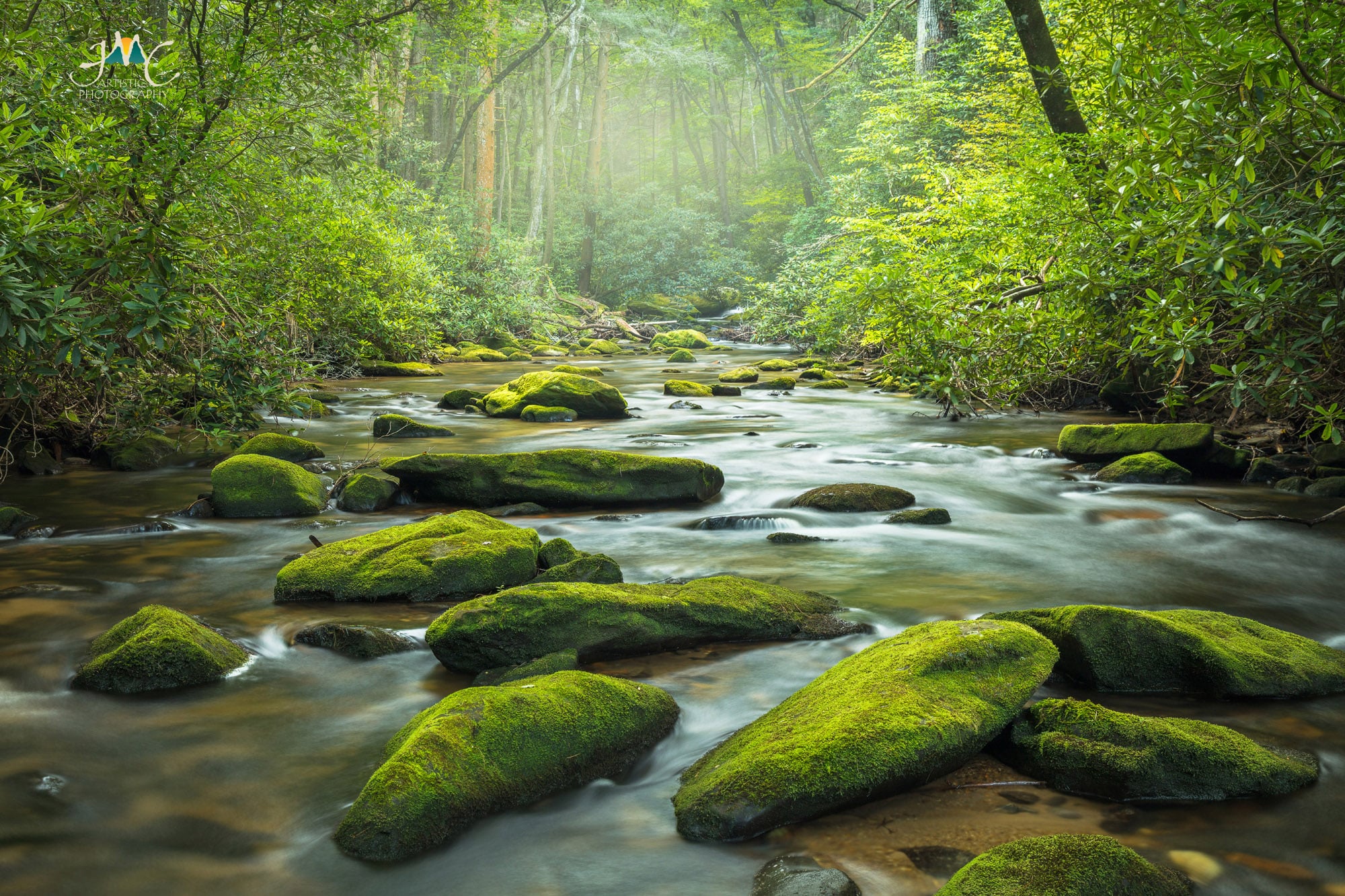 Mountain stream in northeast Georgia. Photo by JMC Artistic Photography